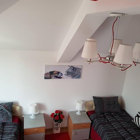 Lux Apartments With Pool Dex Zemun Polje Номер фото