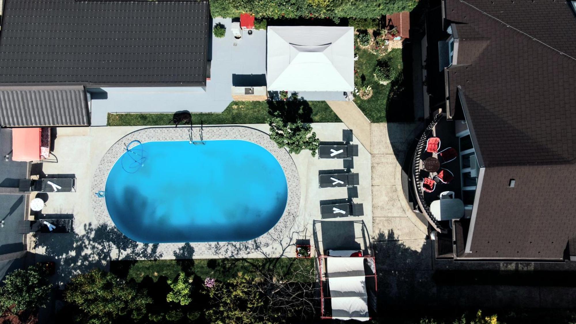 Lux Apartments With Pool Dex Zemun Polje Экстерьер фото